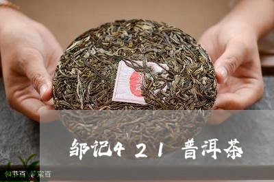 邹记421普洱茶/2023041097058