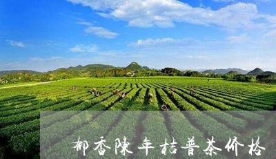 郁香陈年桔普茶价格/2023032117370