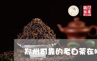 郑州可靠的老白茶在哪里/2023032904836