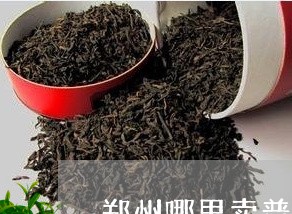 郑州哪里卖普洱茶/2023041210515