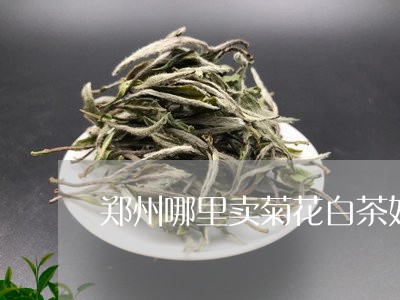 郑州哪里卖菊花白茶好喝/2023032968614