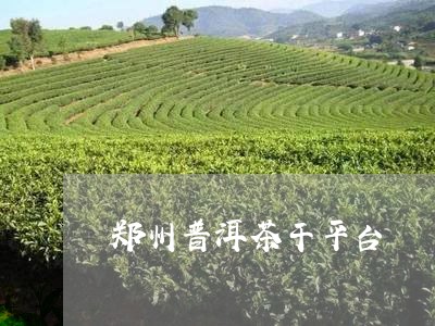 郑州普洱茶干平台/2023031603817