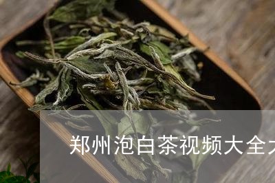 郑州泡白茶视频大全大全/2023032933838