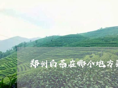 郑州白茶在哪个地方买好/2023032949404