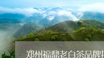 郑州福鼎老白茶品牌招商/2023032982035