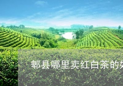 郫县哪里卖红白茶的好些/2023032931794