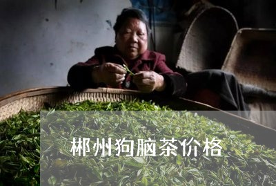 郴州狗脑茶价格/2023032447259