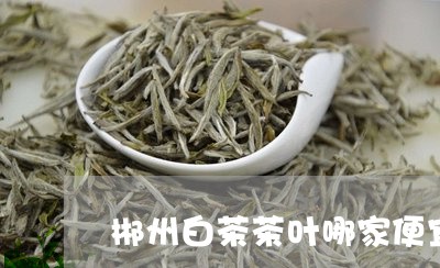 郴州白茶茶叶哪家便宜好/2023032904936