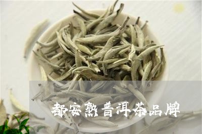 都安熟普洱茶品牌/2023041007471