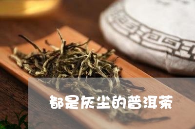 都是灰尘的普洱茶/2023040919460