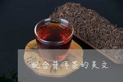 配合普洱茶的美文/2023040953894