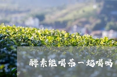 酵素能喝茶一起喝吗/2023032082137