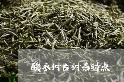 酸枣树古树茶特点/2023032637169