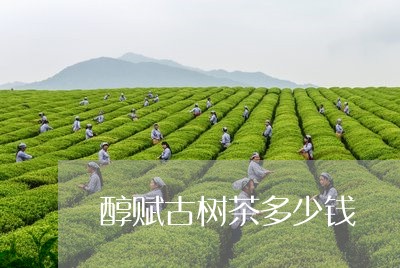 醇赋古树茶多少钱/2023032684748