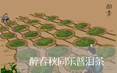 醉春秋同乐普洱茶/2023041264071