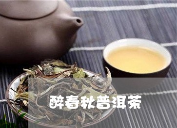 醉春秋普洱茶/2023041036262