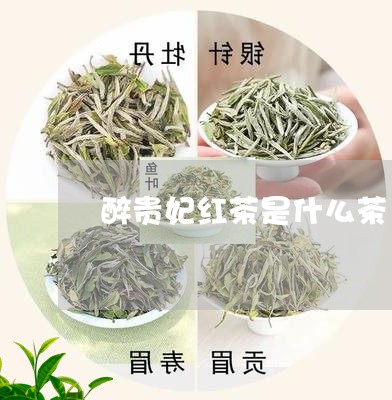 醉贵妃红茶是什么茶/2023041660603