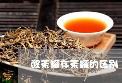 醒茶罐存茶罐的区别/2023041619262