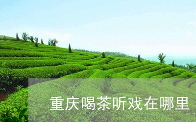 重庆喝茶听戏在哪里/2023041683050