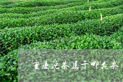 重庆沱茶属于哪类茶/2023032123860