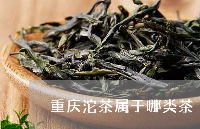 重庆沱茶属于哪类茶/2023041663935