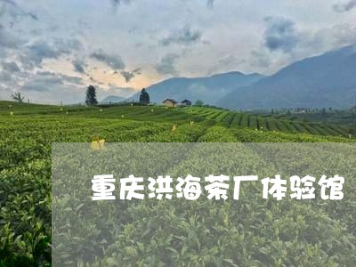 重庆洪海茶厂体验馆/2023032046147