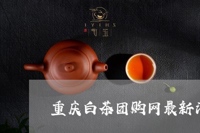 重庆白茶团购网最新消息/2023032903938