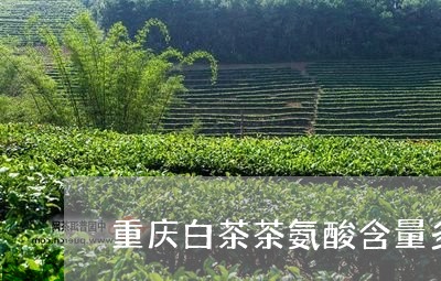 重庆白茶茶氨酸含量多少/2023032919683