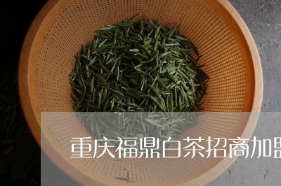 重庆福鼎白茶招商加盟店/2023032996171