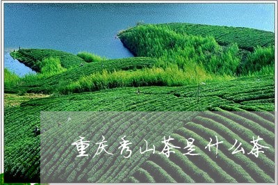 重庆秀山茶是什么茶/2023041595050