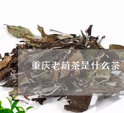 重庆老荫茶是什么茶/2023041548271