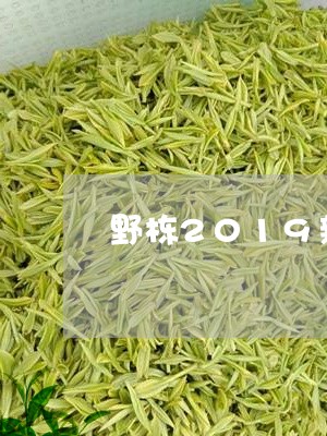 野栋2019新茶安吉白茶/2023033089473