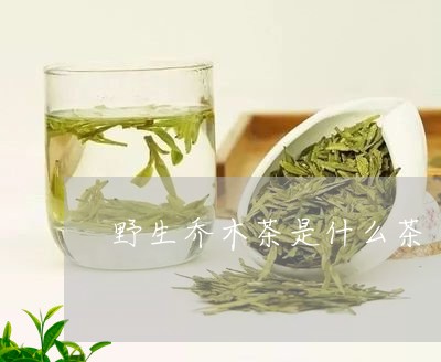 野生乔木茶是什么茶/2023041521595