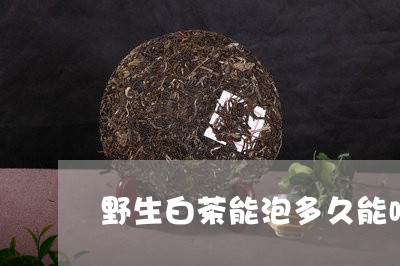 野生白茶能泡多久能喝了/2023032926368