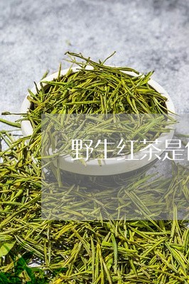 野生红茶是什么茶/2023032309681