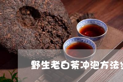 野生老白茶冲泡方法步骤/2023032964027