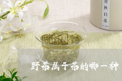 野茶属于茶的哪一种/2023041716139