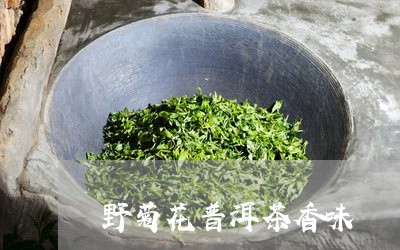 野菊花普洱茶香味/2023040144947