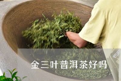 金三叶普洱茶好吗/2023040173714