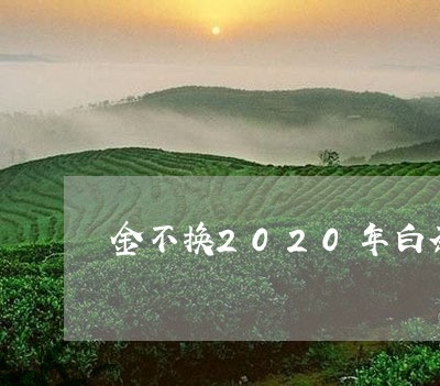 金不换2020年白茶寿眉/2023033006268