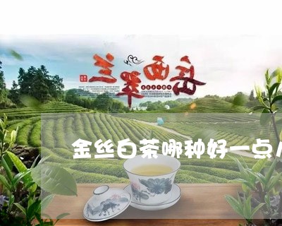 金丝白茶哪种好一点儿啊/2023032983373