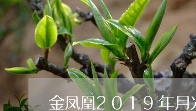 金凤凰2019年月光白茶/2023033014250