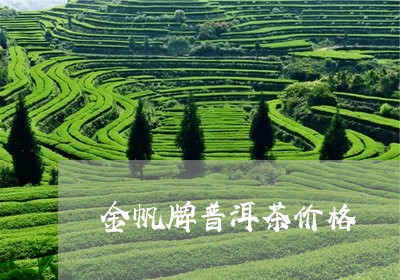 金帆牌普洱茶价格/2023041350485