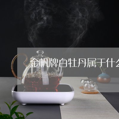 金帆牌白牡丹属于什么茶/2023032986057