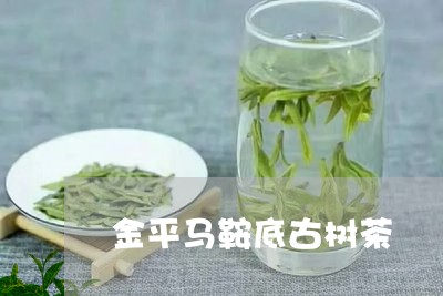 金平马鞍底古树茶/2023032629572