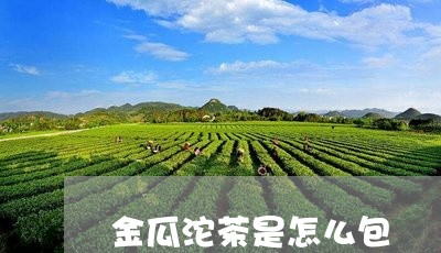 金瓜沱茶是怎么包/2023032418151