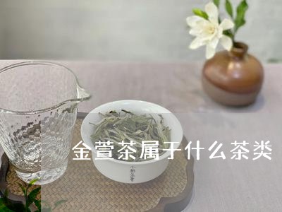 金萱茶属于什么茶类/2023041786351