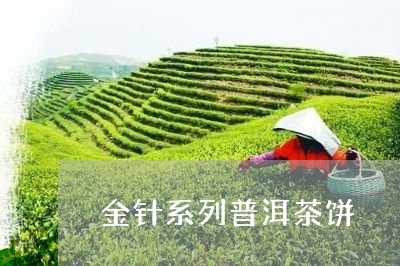 金针系列普洱茶饼/2023031695157