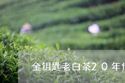 金钥匙老白茶20年价格表/2023033180472