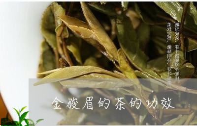 金骏眉的茶的功效/2023041458381